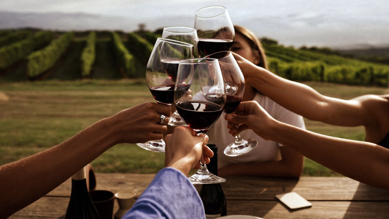 Amici brindano tra i vigneti del Monferrato