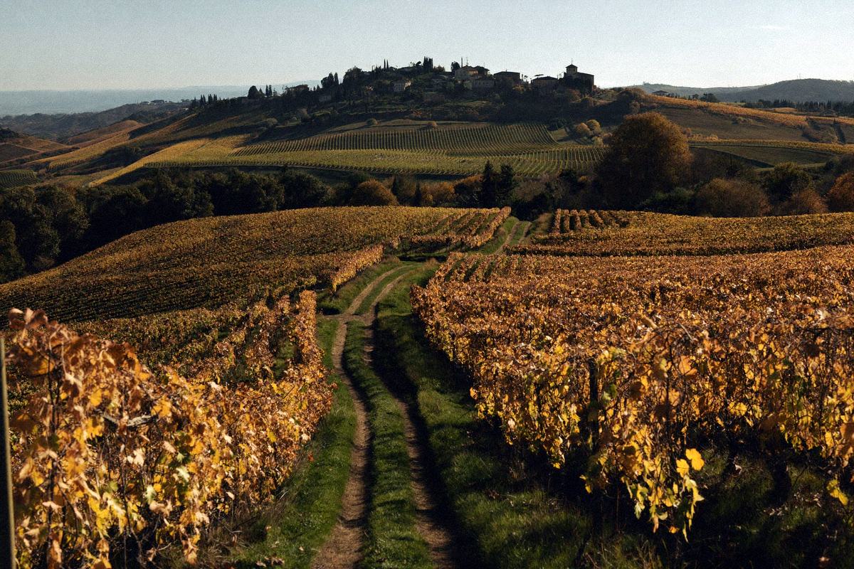 Passeggiate tra i filari